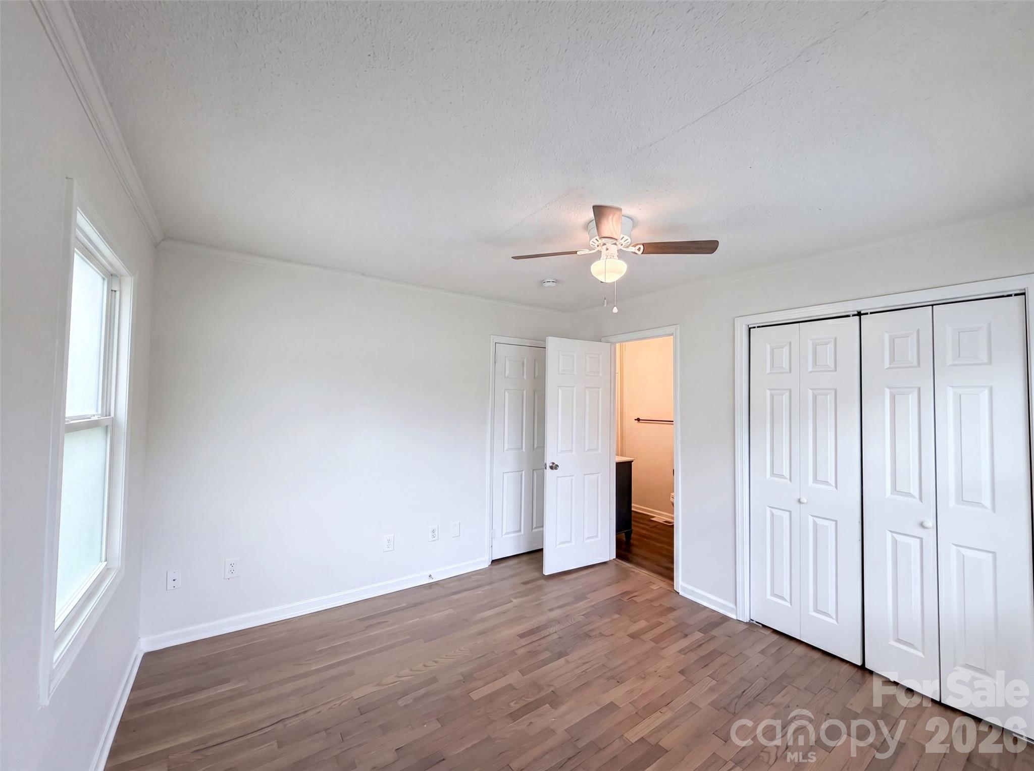 206 Lilly Street Property Photo 13