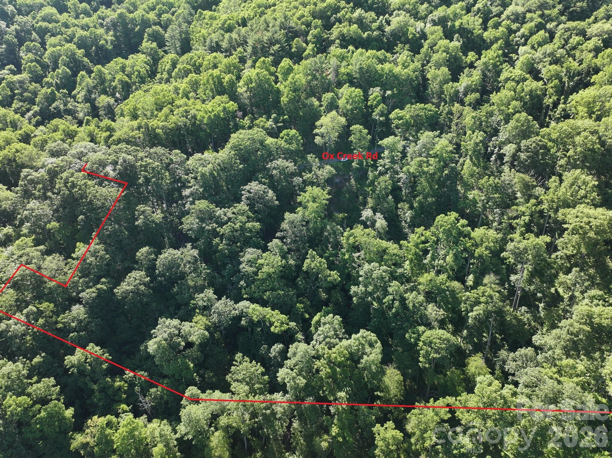 Tbd Ox Creek Road Property Photo 1