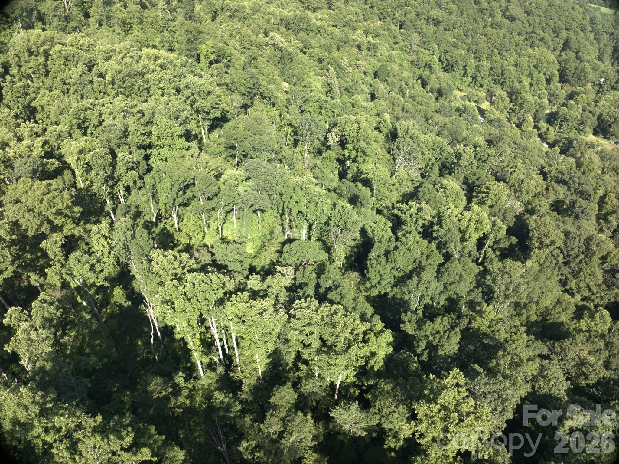 Tbd Ox Creek Road Property Photo 2