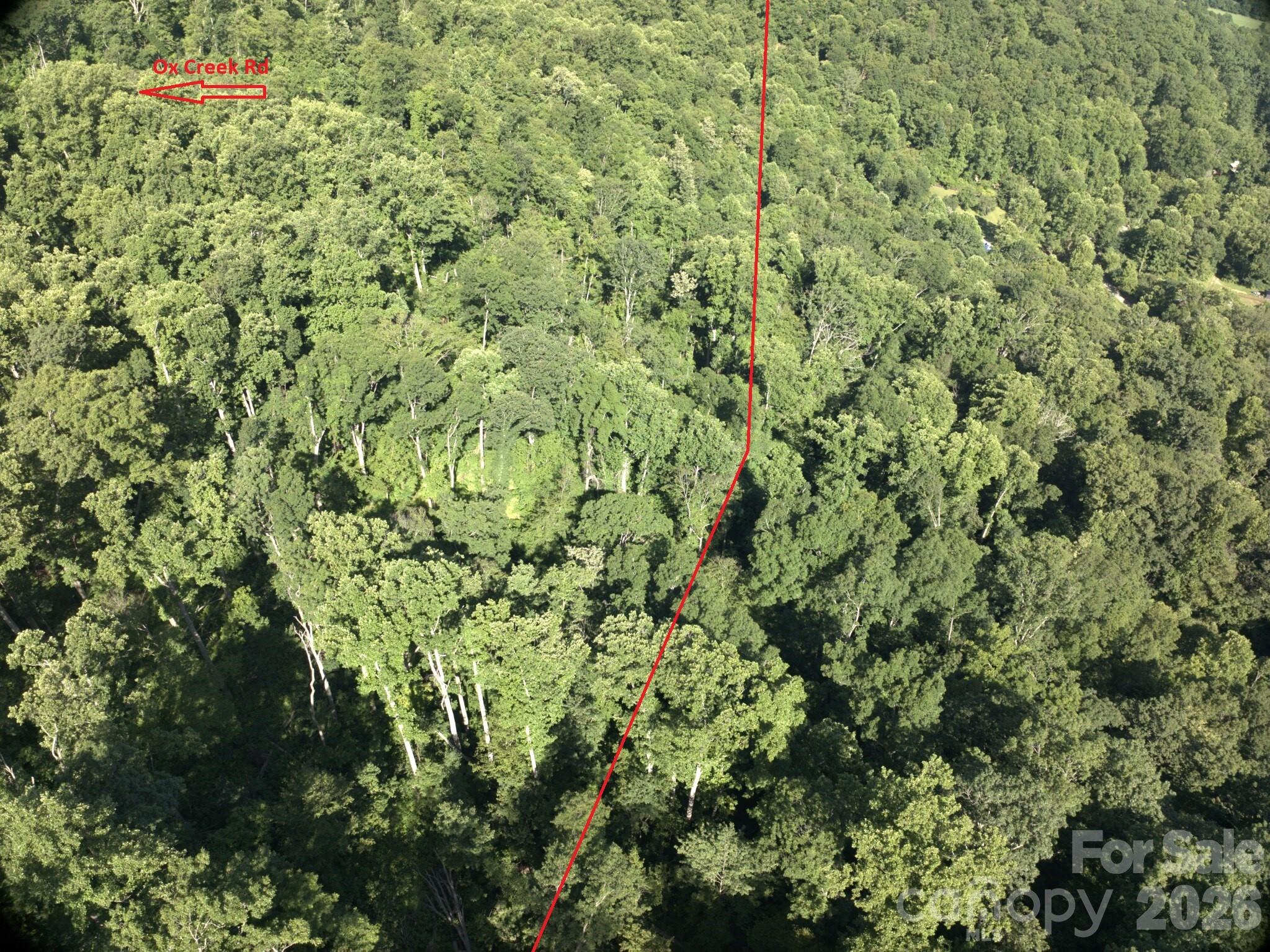 Tbd Ox Creek Road Property Photo 3