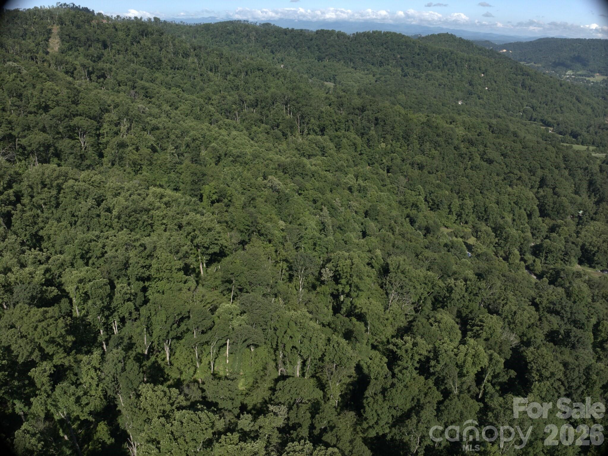 Tbd Ox Creek Road Property Photo 4