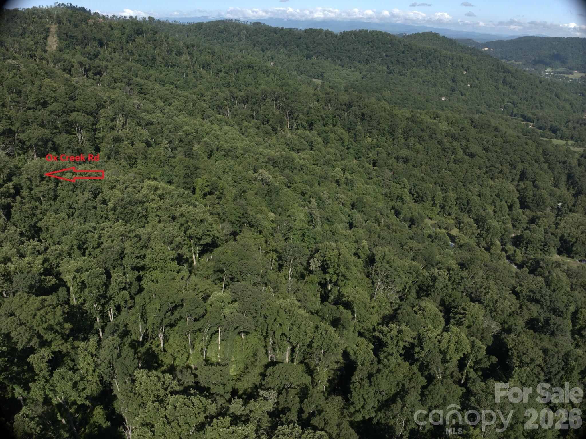 Tbd Ox Creek Road Property Photo 5