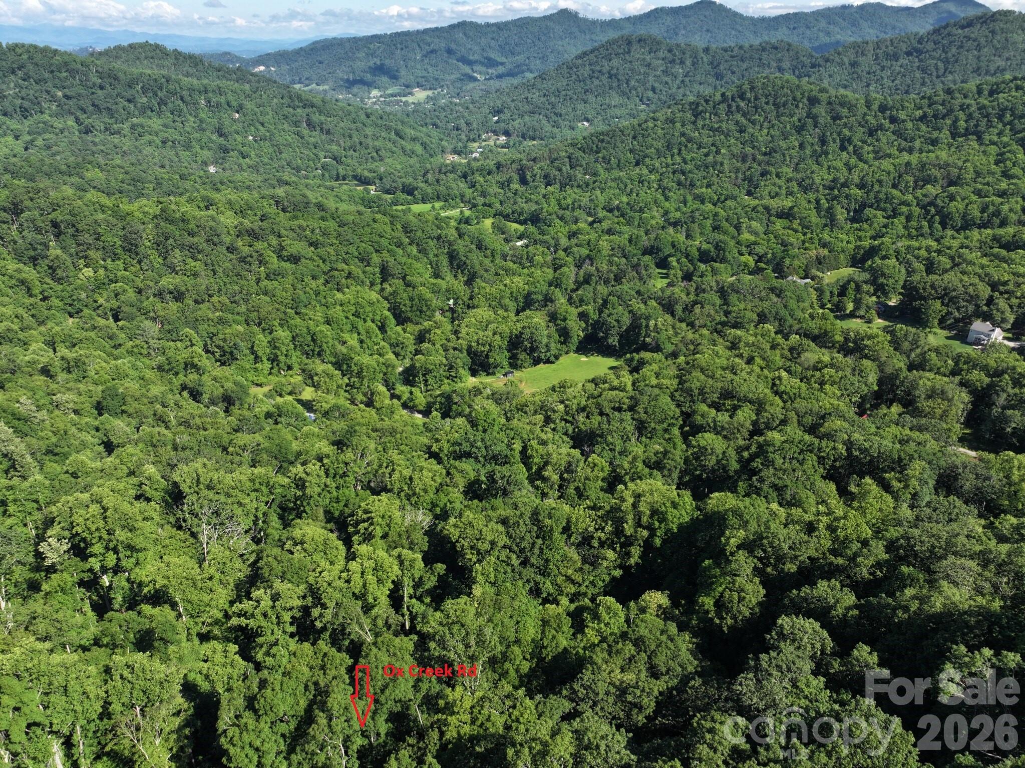 Tbd Ox Creek Road Property Photo 6