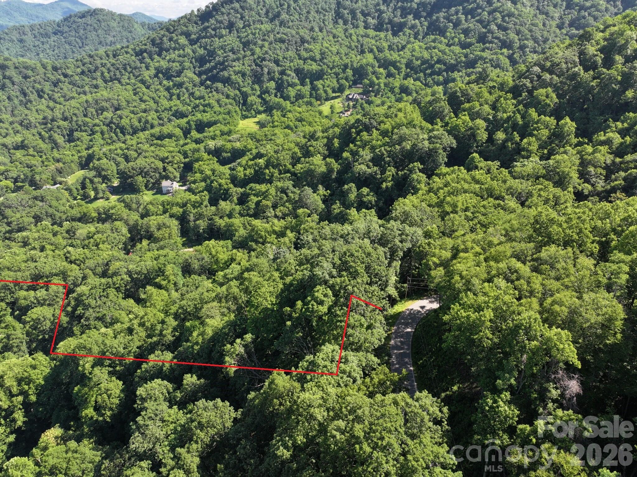 Tbd Ox Creek Road Property Photo 8
