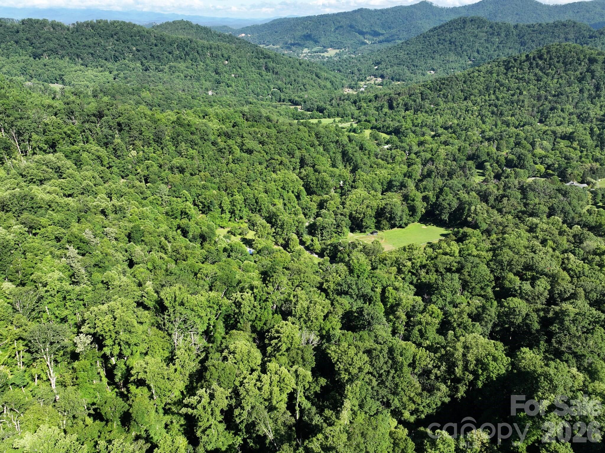 Tbd Ox Creek Road Property Photo 9
