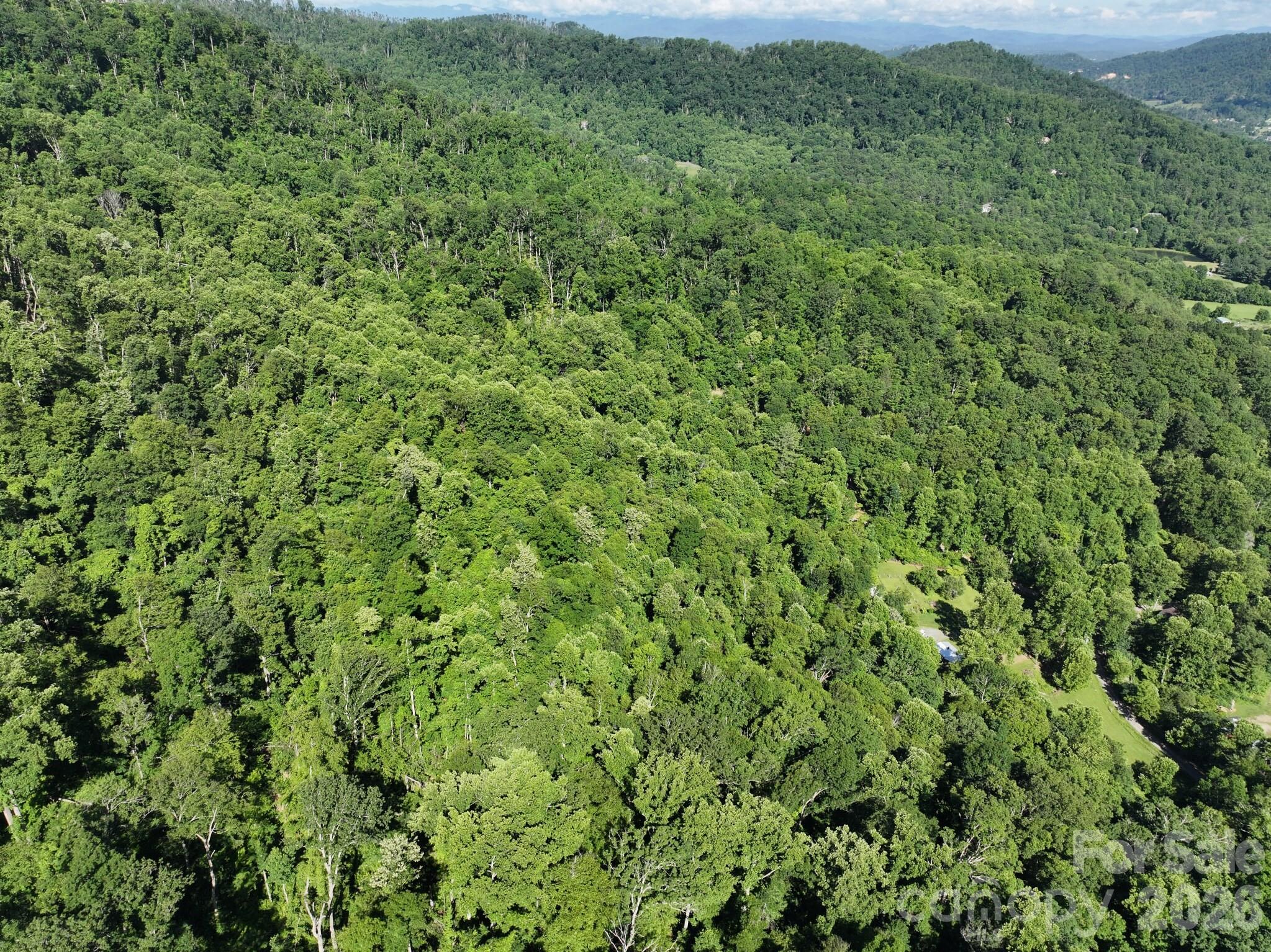 Tbd Ox Creek Road Property Photo 10