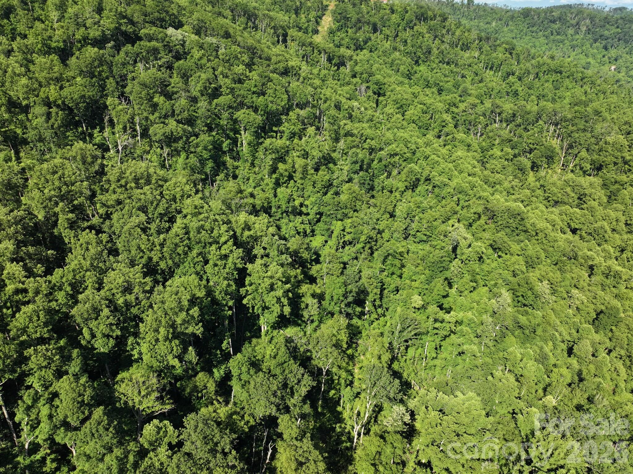Tbd Ox Creek Road Property Photo 11