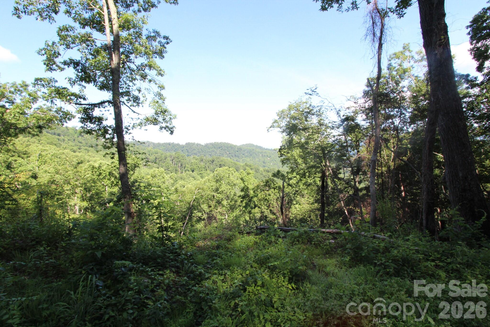 Tbd Ox Creek Road Property Photo 12
