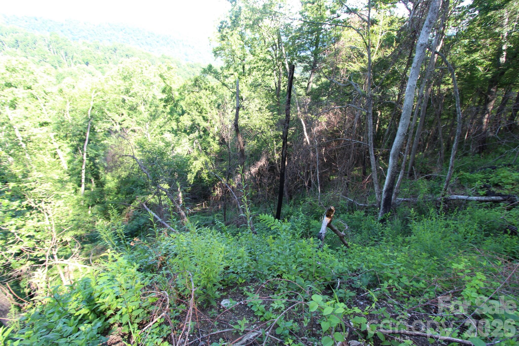 Tbd Ox Creek Road Property Photo 13