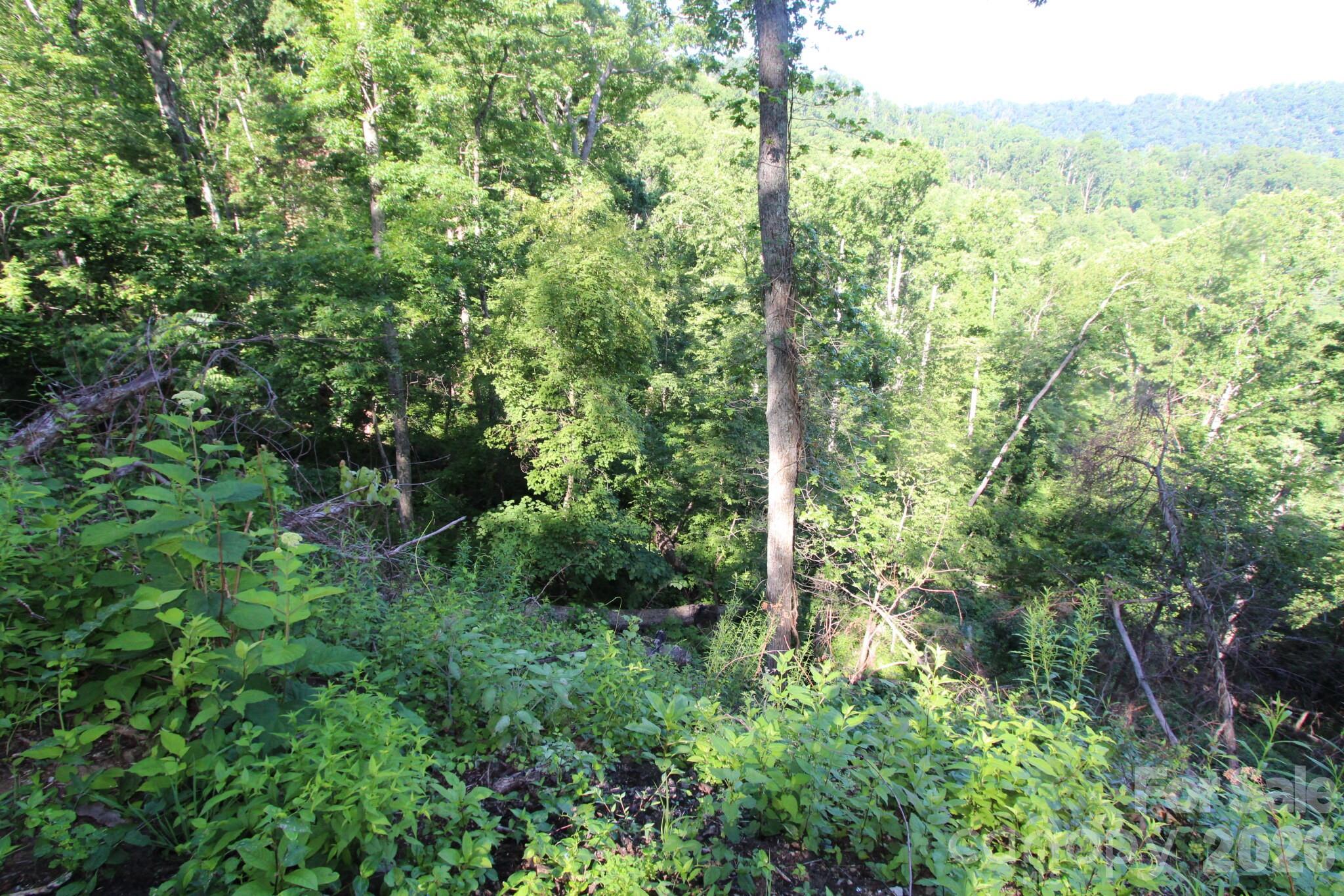 Tbd Ox Creek Road Property Photo 14