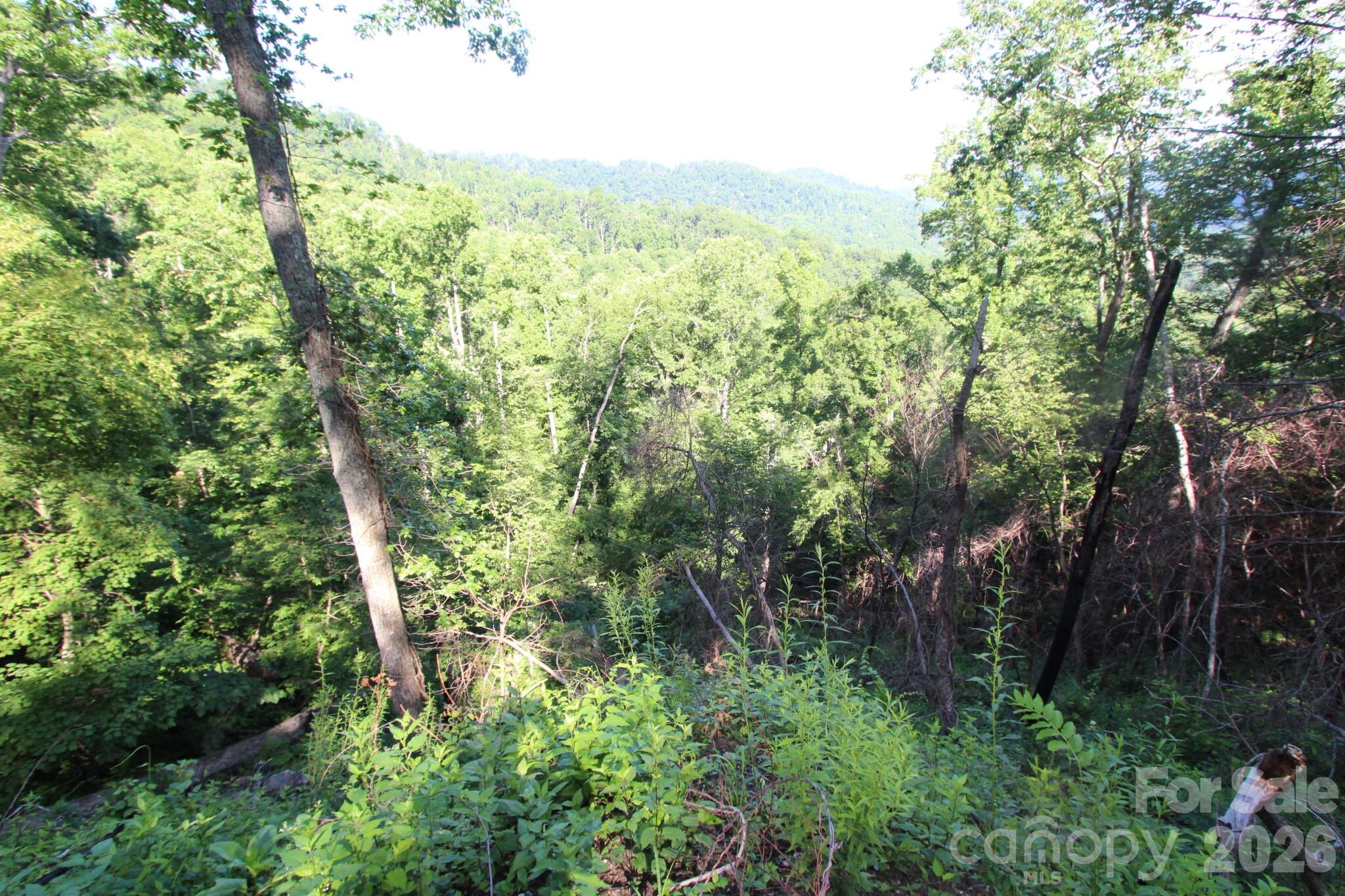 Tbd Ox Creek Road Property Photo 15