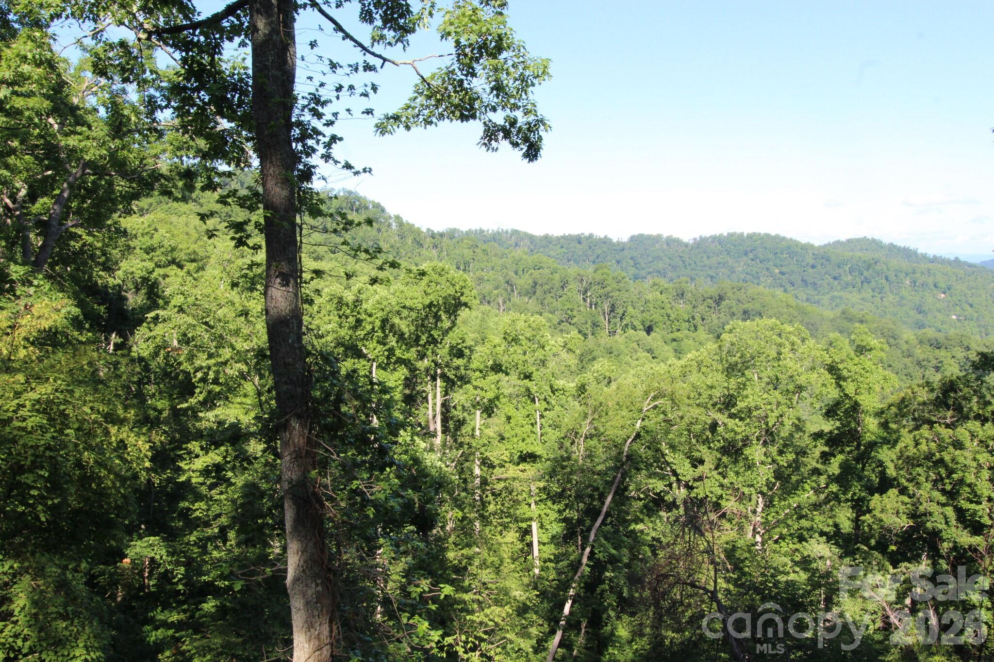 Tbd Ox Creek Road Property Photo 16