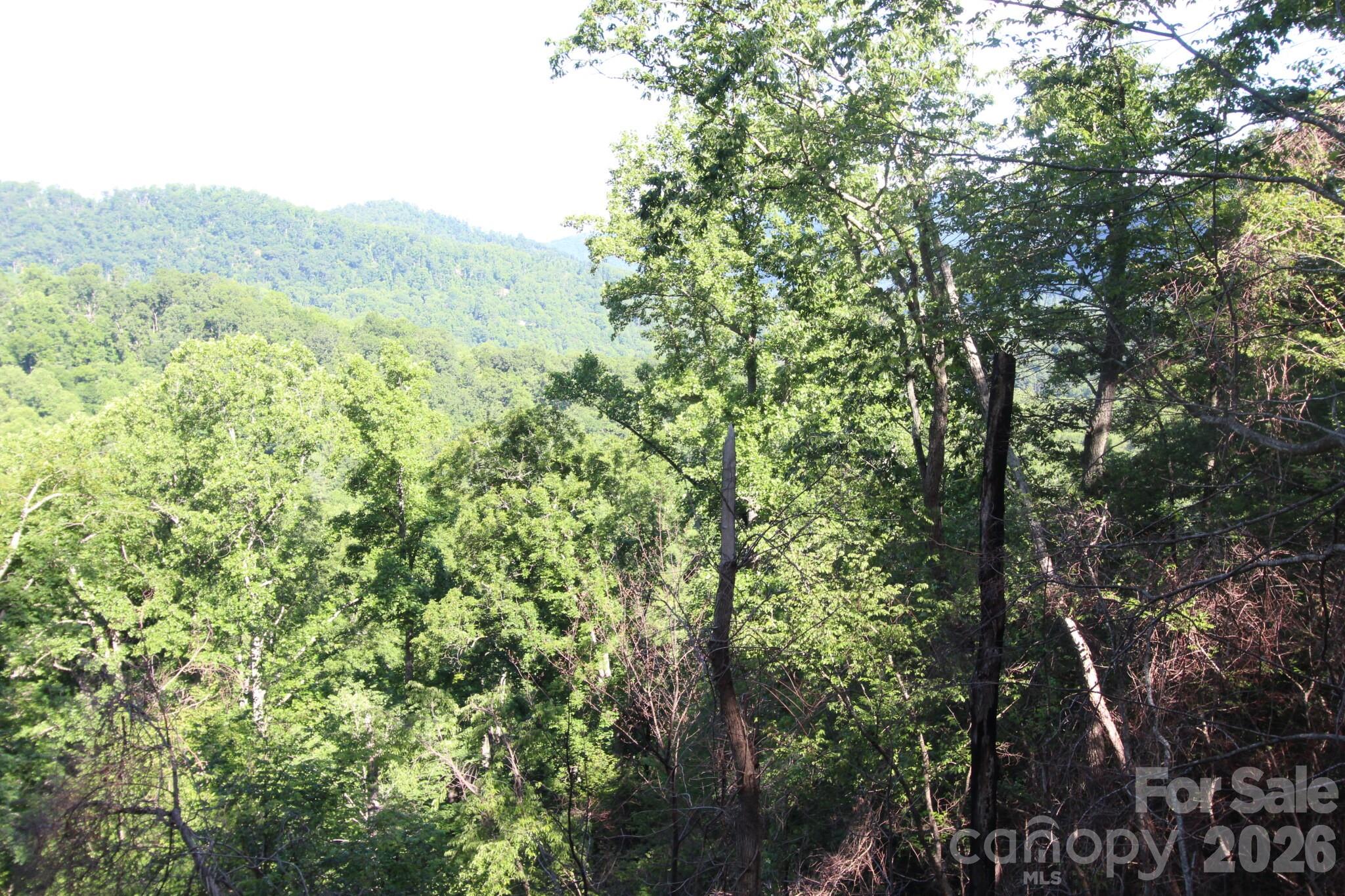 Tbd Ox Creek Road Property Photo 17