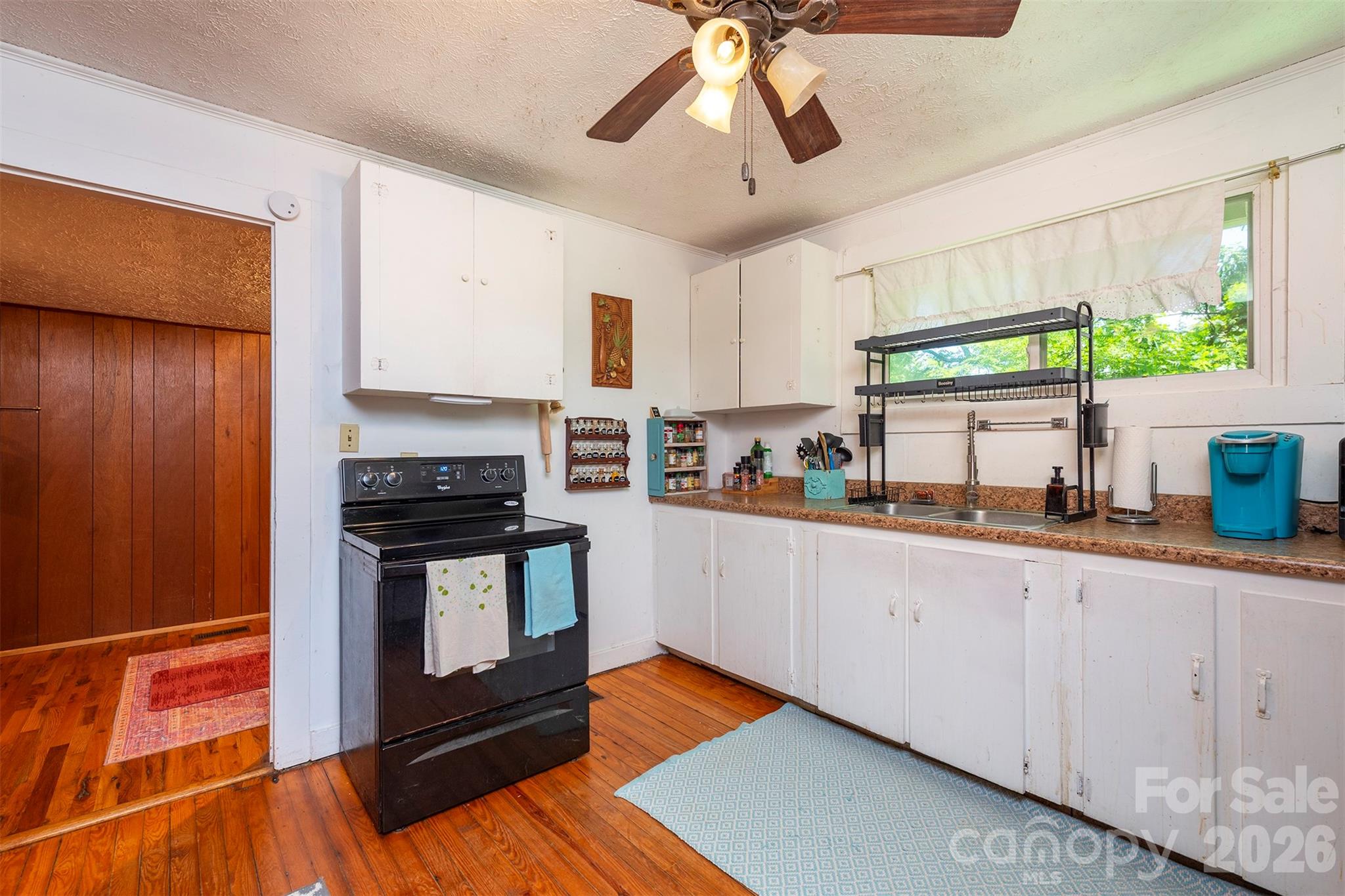 14 Border Street Property Photo 15