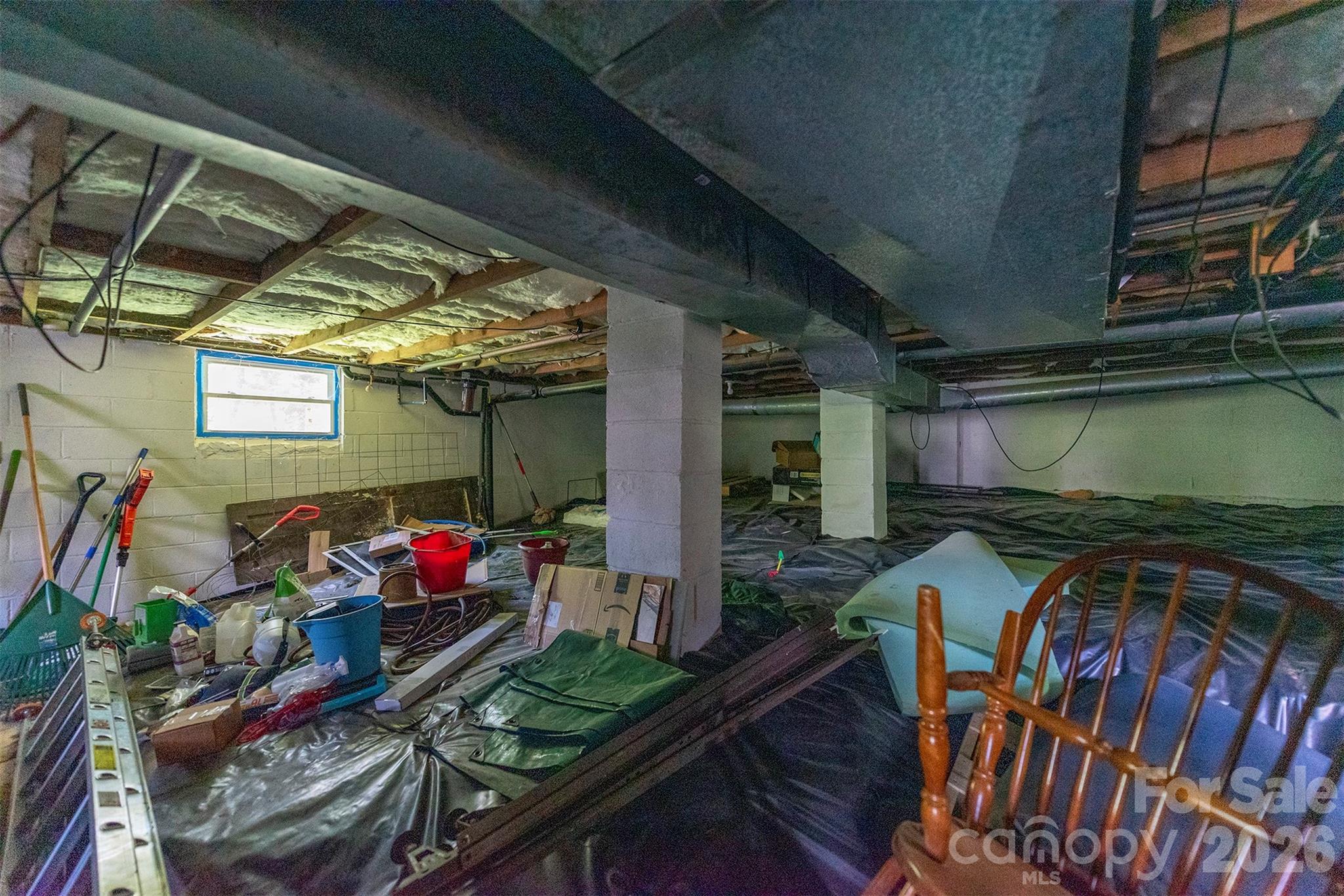 14 Border Street Property Photo 28
