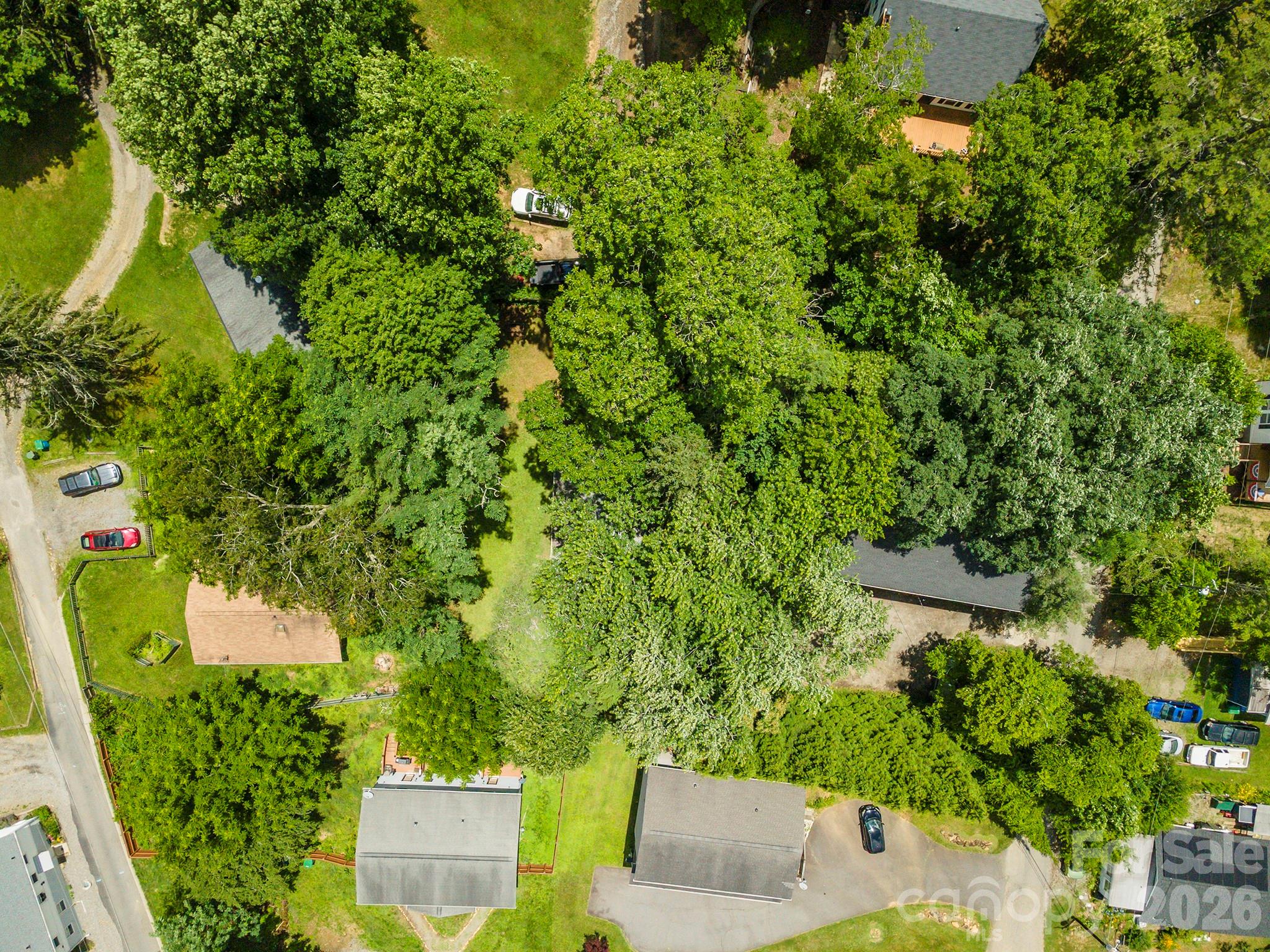 14 Border Street Property Photo 36