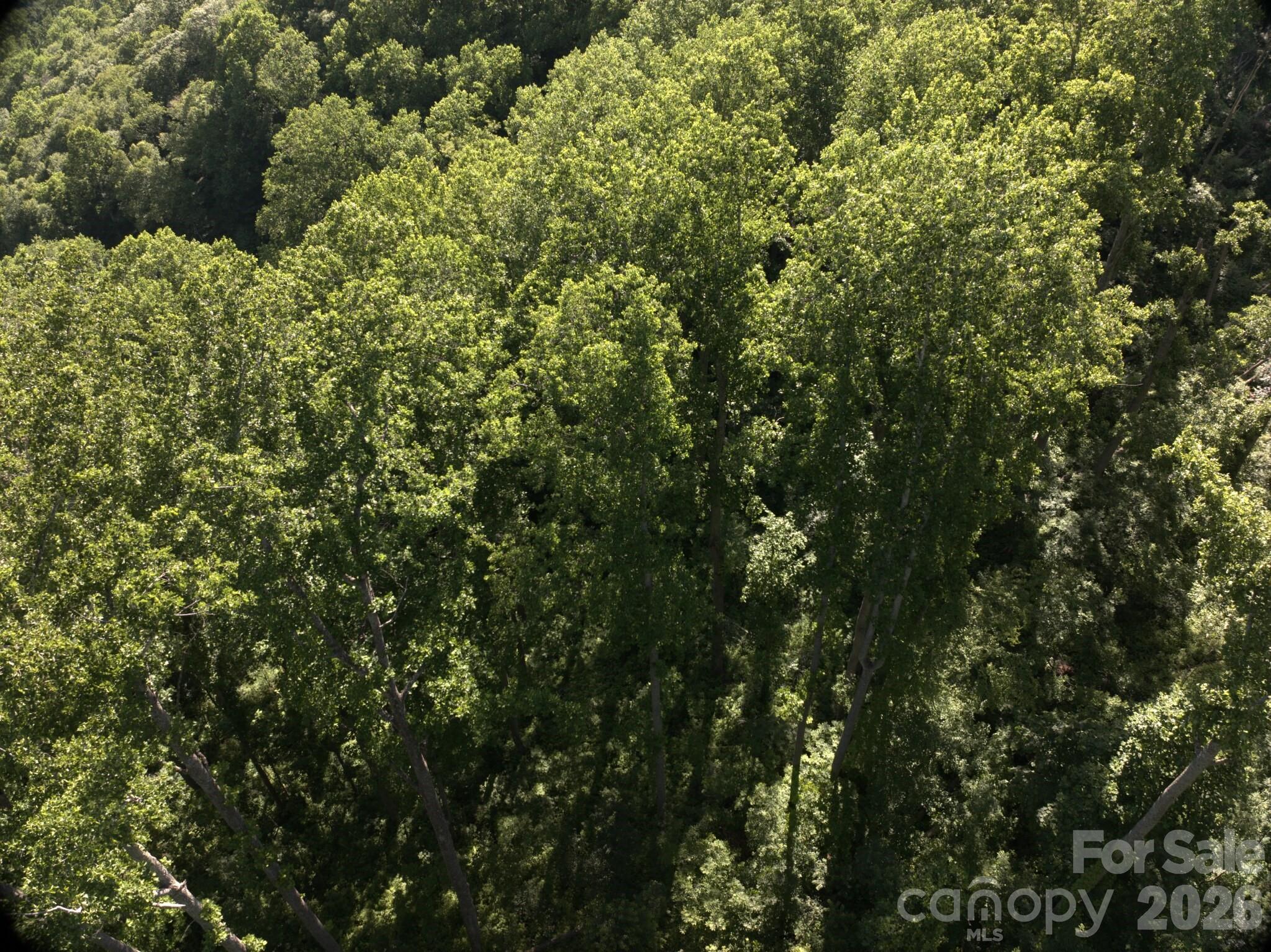 00 Ox Creek Crest Lane Property Photo 5