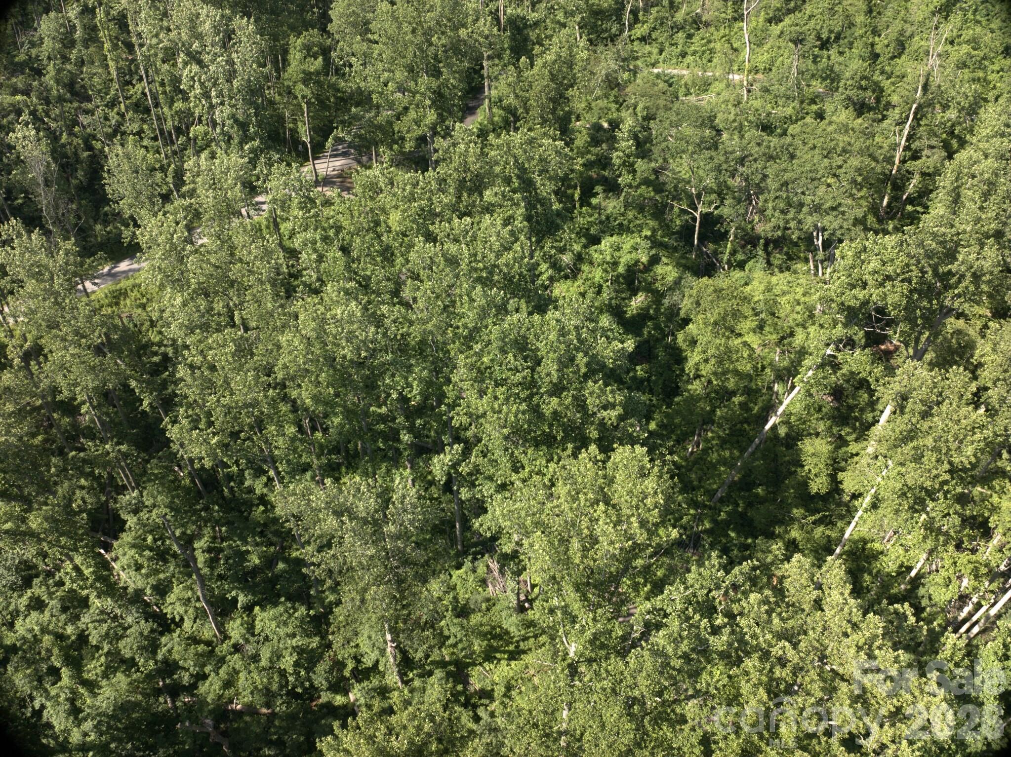 00 Ox Creek Crest Lane Property Photo 7