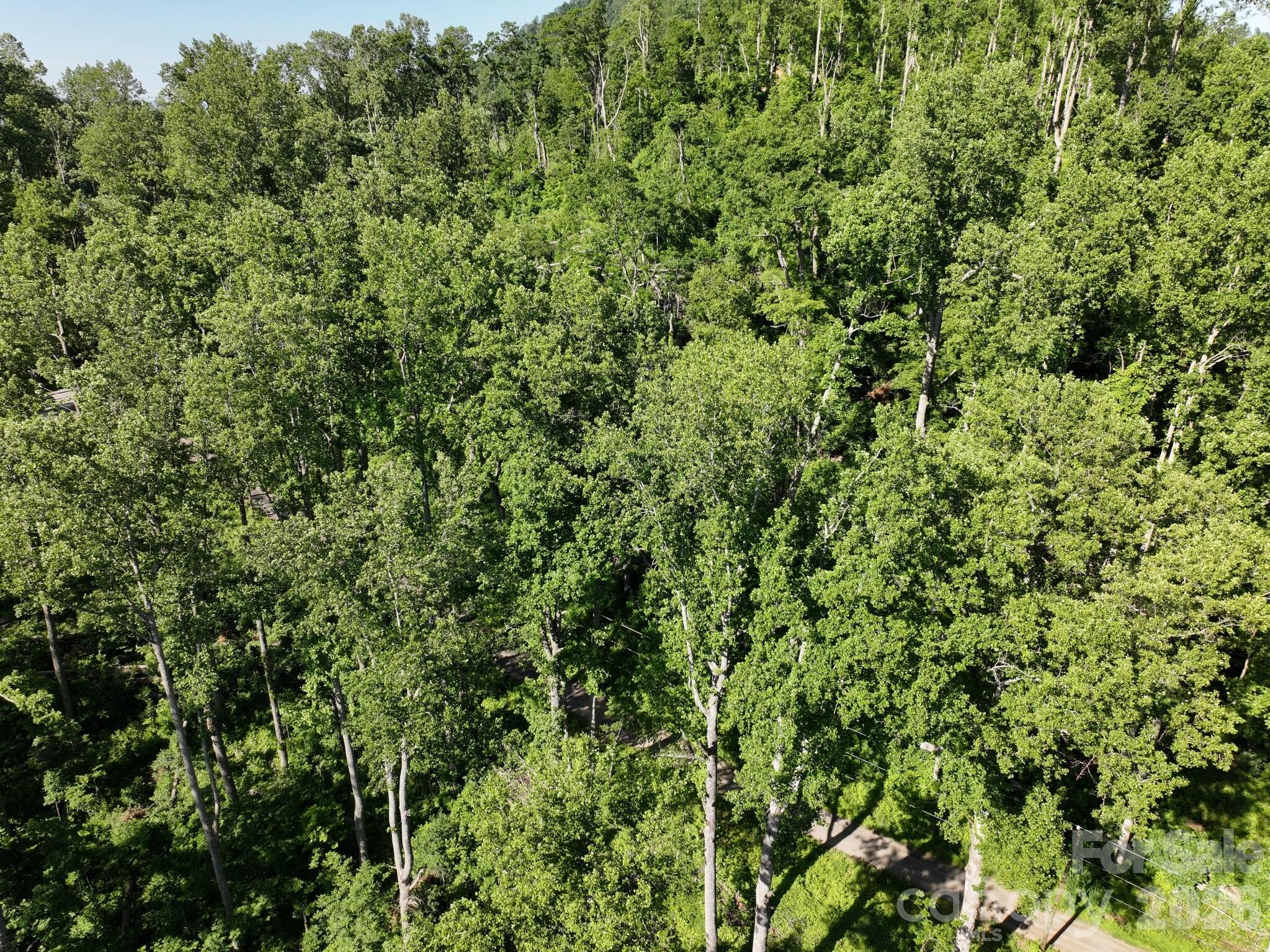 00 Ox Creek Crest Lane Property Photo 16