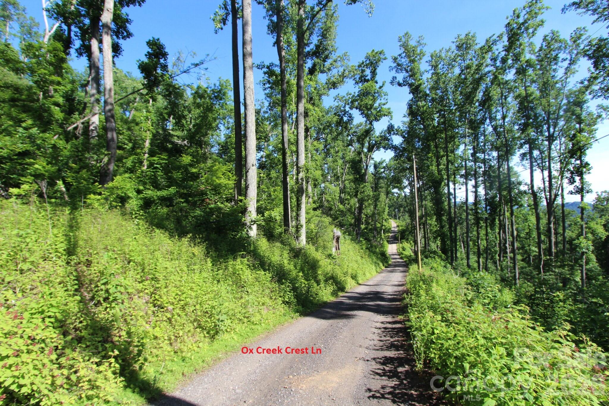 00 Ox Creek Crest Lane Property Photo 17