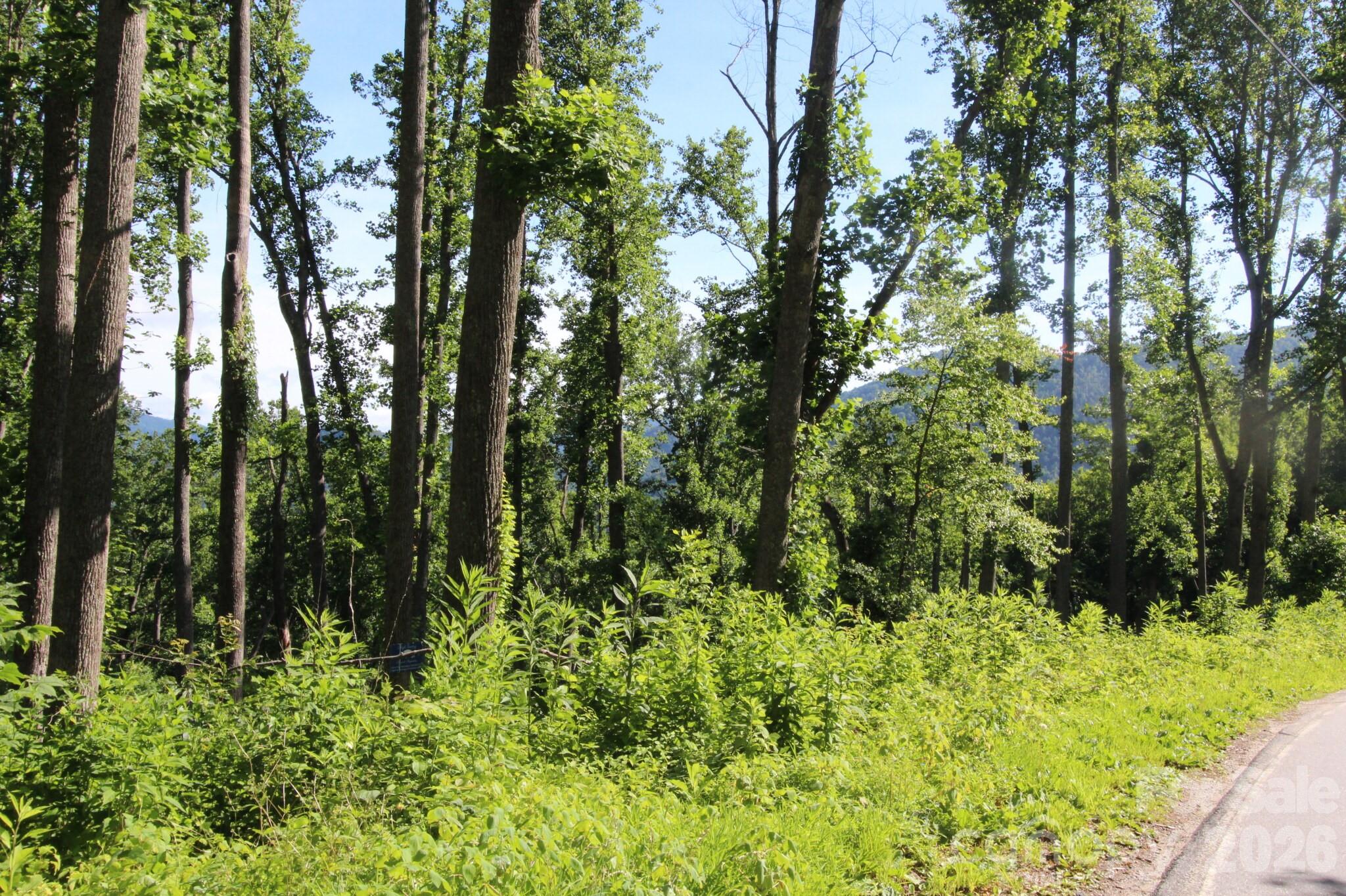 00 Ox Creek Crest Lane Property Photo 18