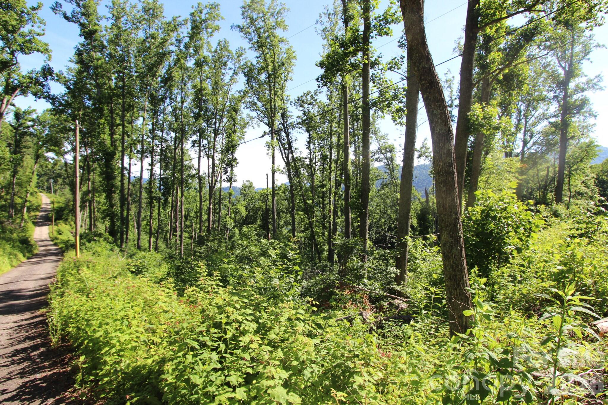 00 Ox Creek Crest Lane Property Photo 19