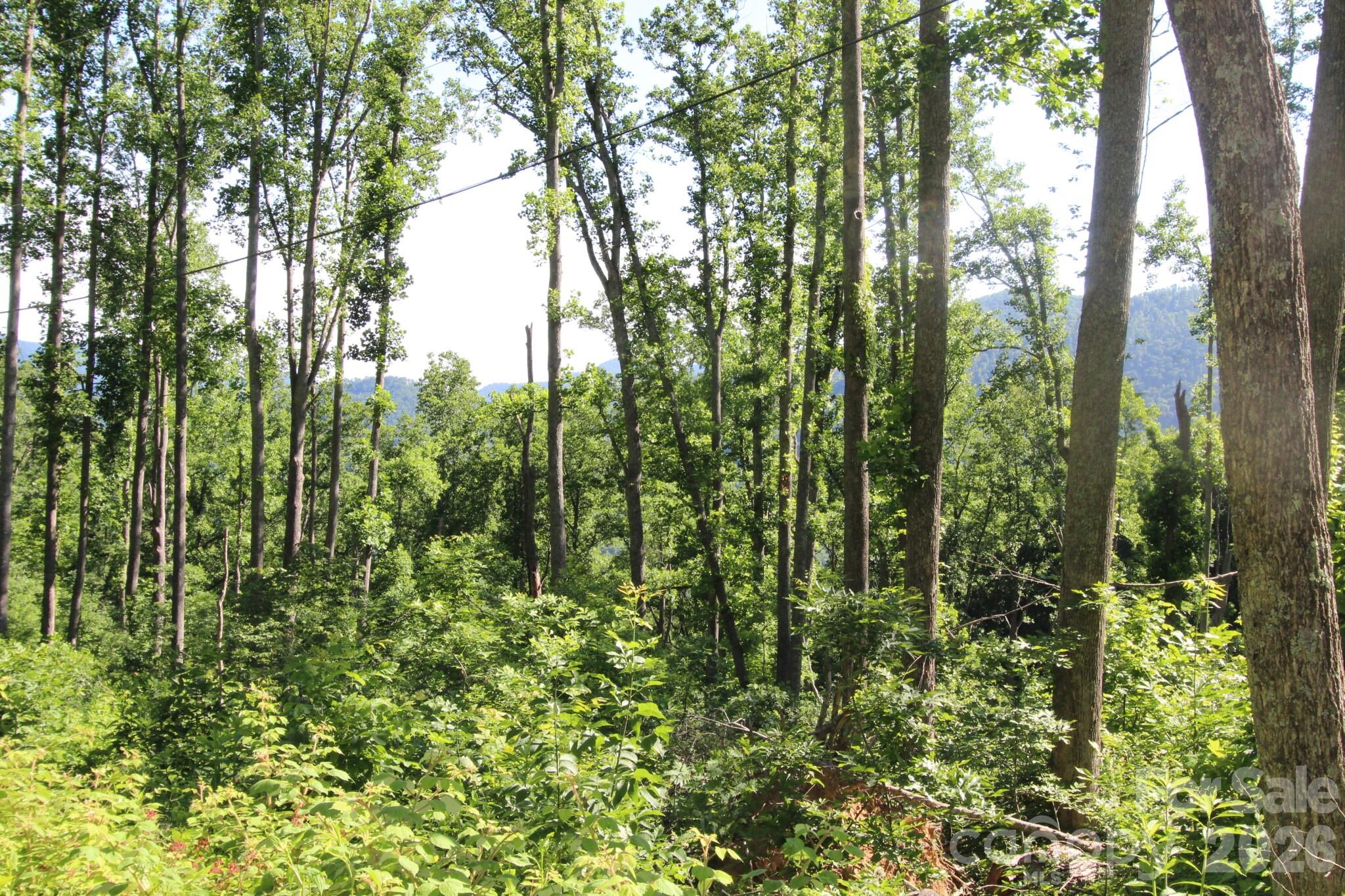00 Ox Creek Crest Lane Property Photo 20