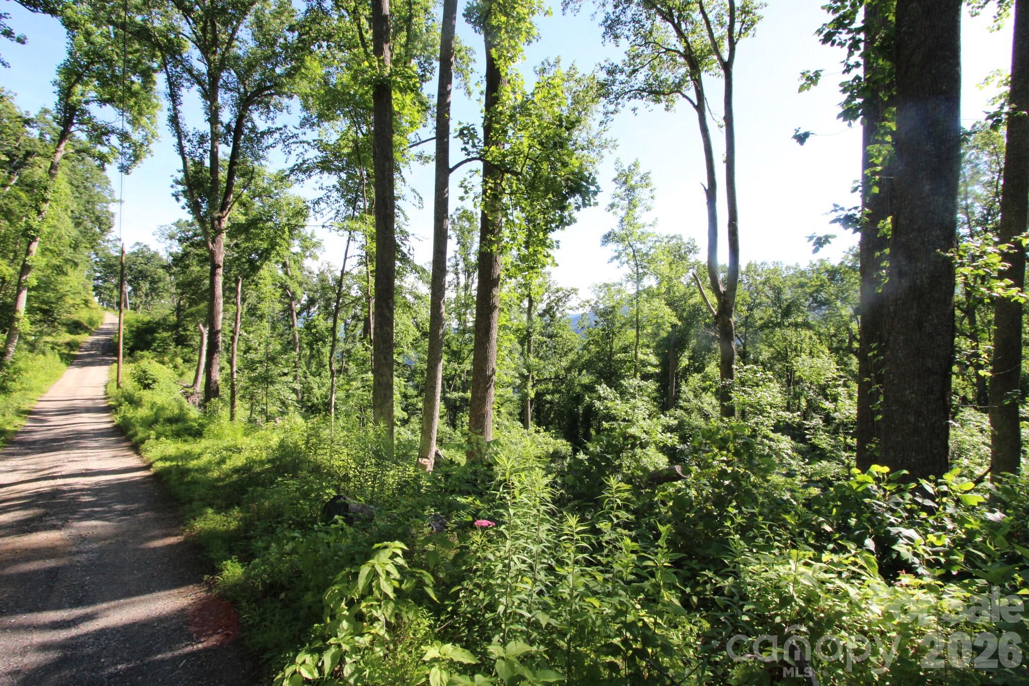 00 Ox Creek Crest Lane Property Photo 22