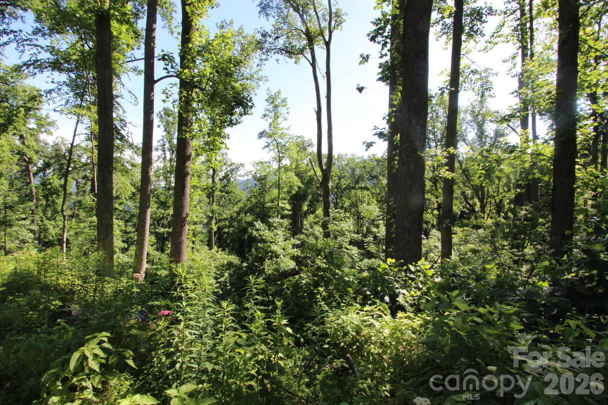 00 Ox Creek Crest Lane Property Photo 23