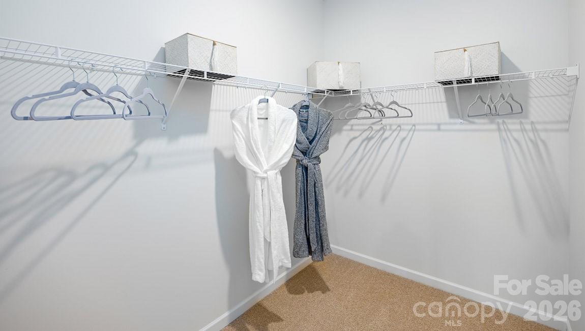 160 Piney Woods Road Property Photo 19