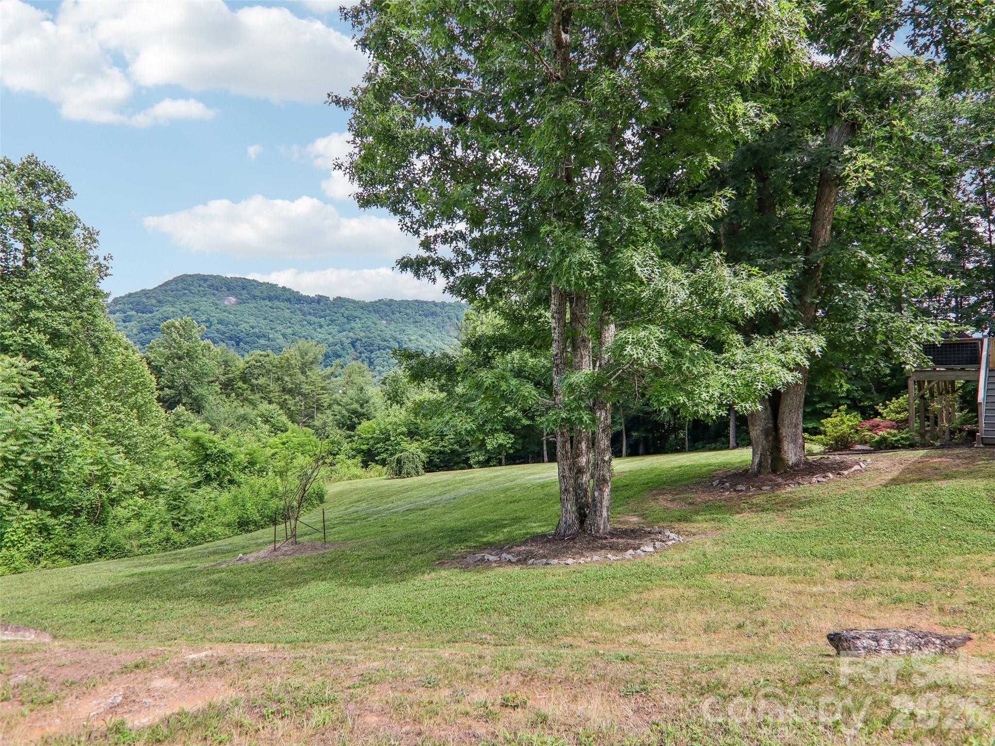 77 Willow Stone Way Property Photo 39