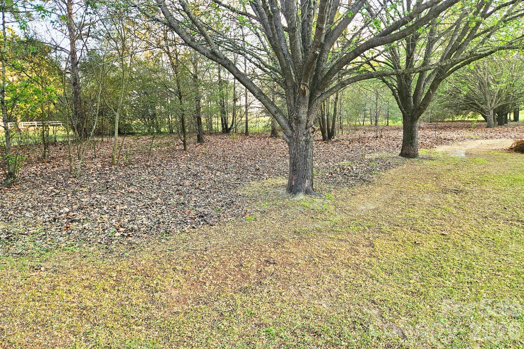 1617 Shampy Drive A Property Photo 14
