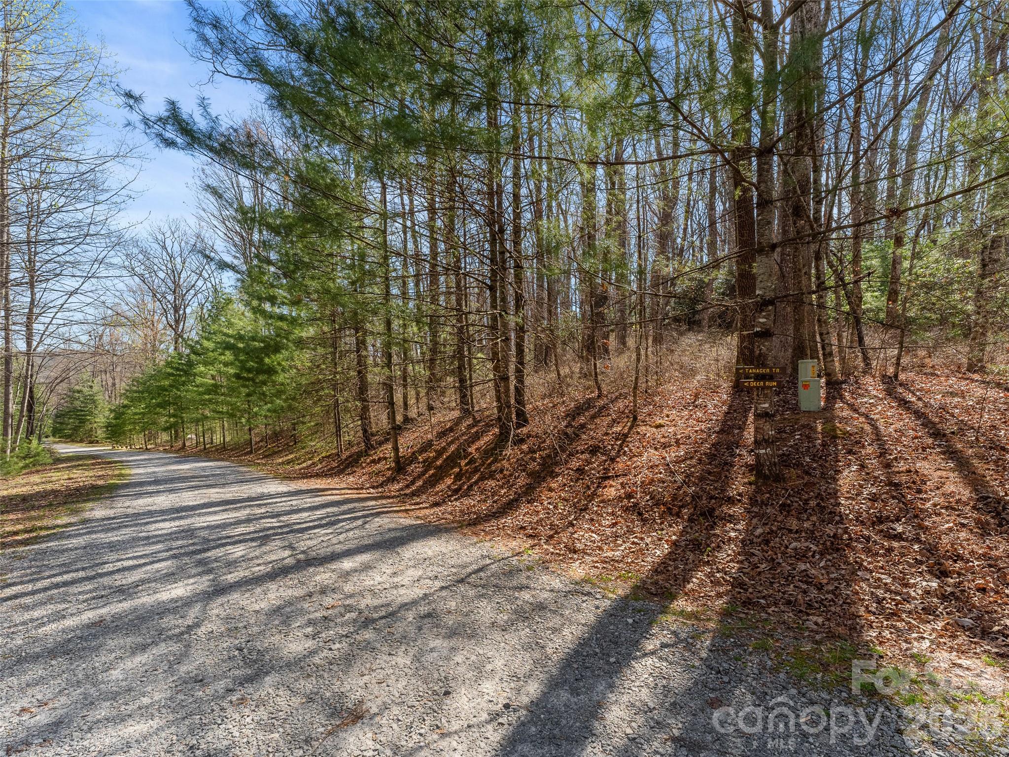 Tbd White Oak Terrace 9 Property Photo 3
