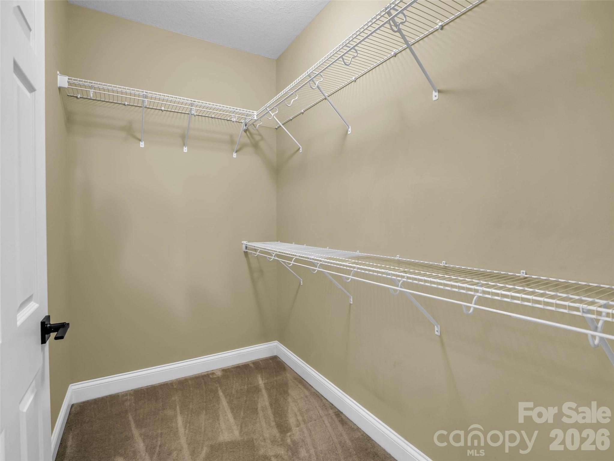 17 Black Iron Lane Property Photo 31