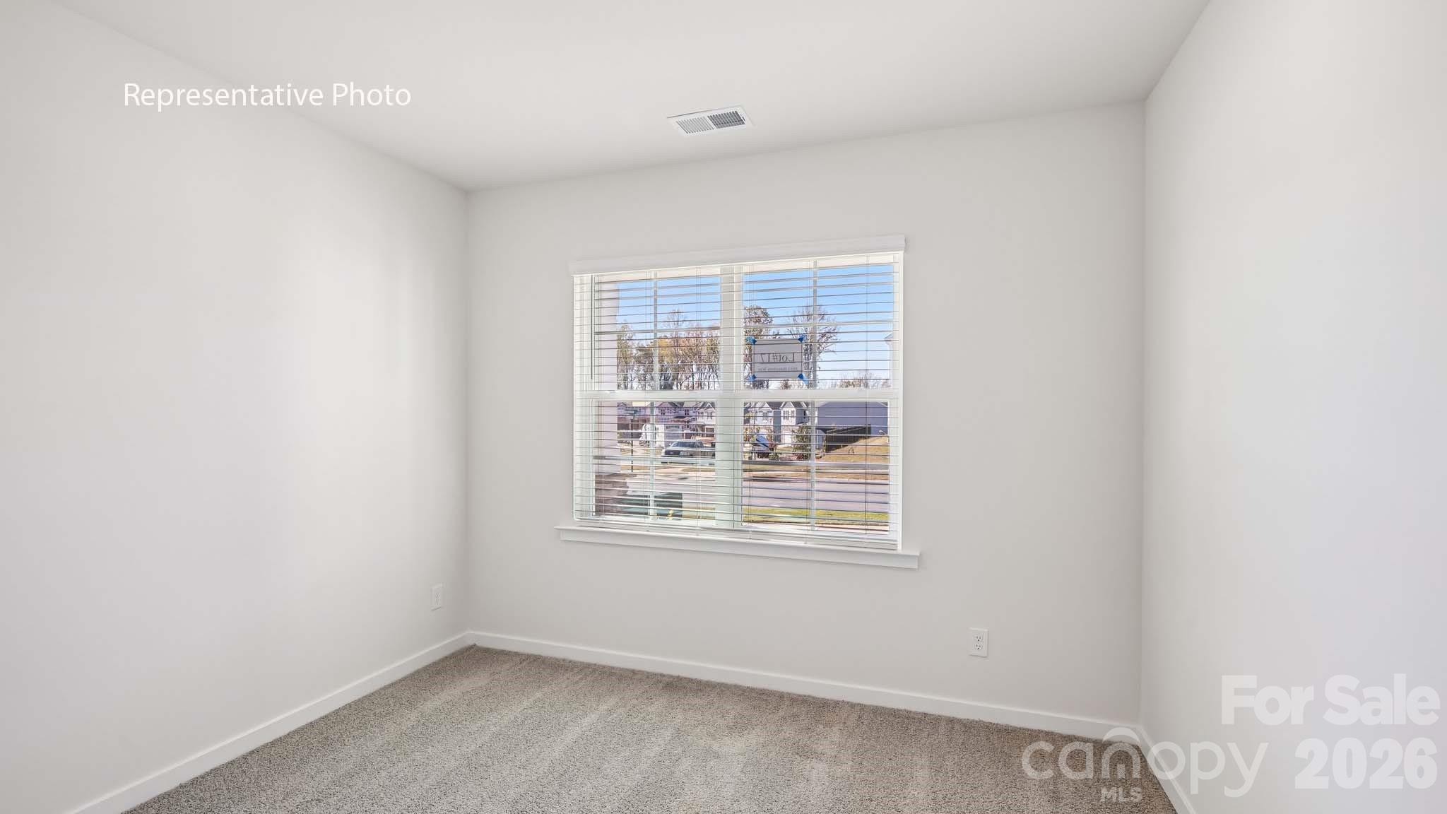 301 Frozen Dream Drive Property Photo 9