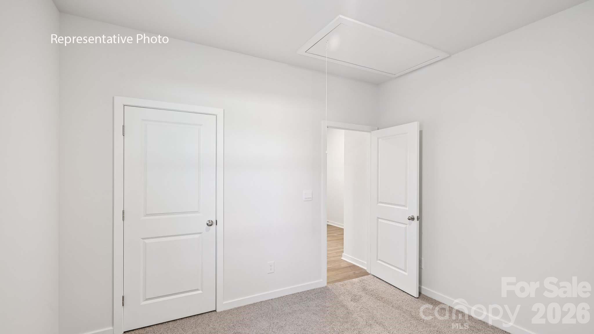 301 Frozen Dream Drive Property Photo 13
