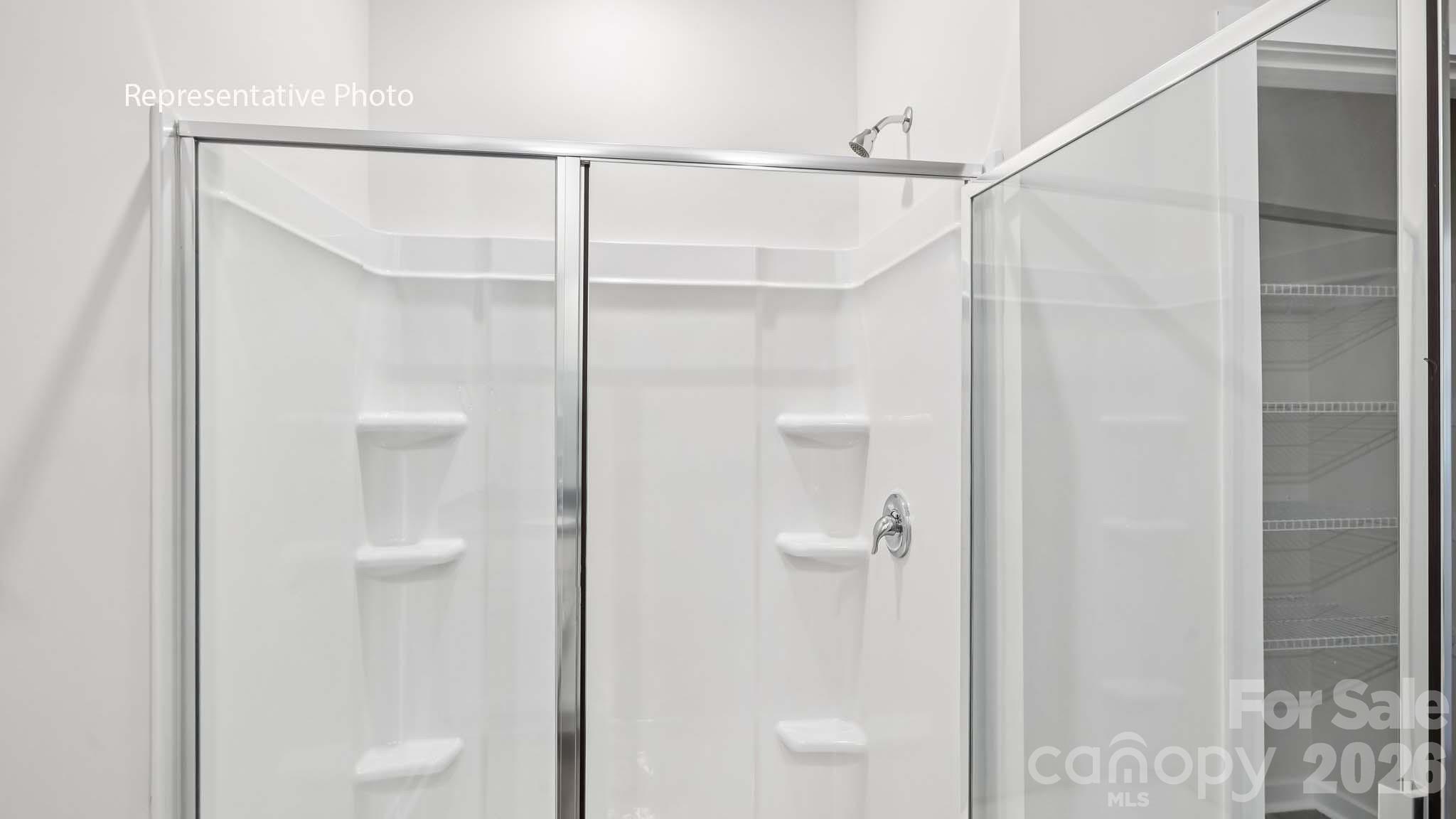 301 Frozen Dream Drive Property Photo 19