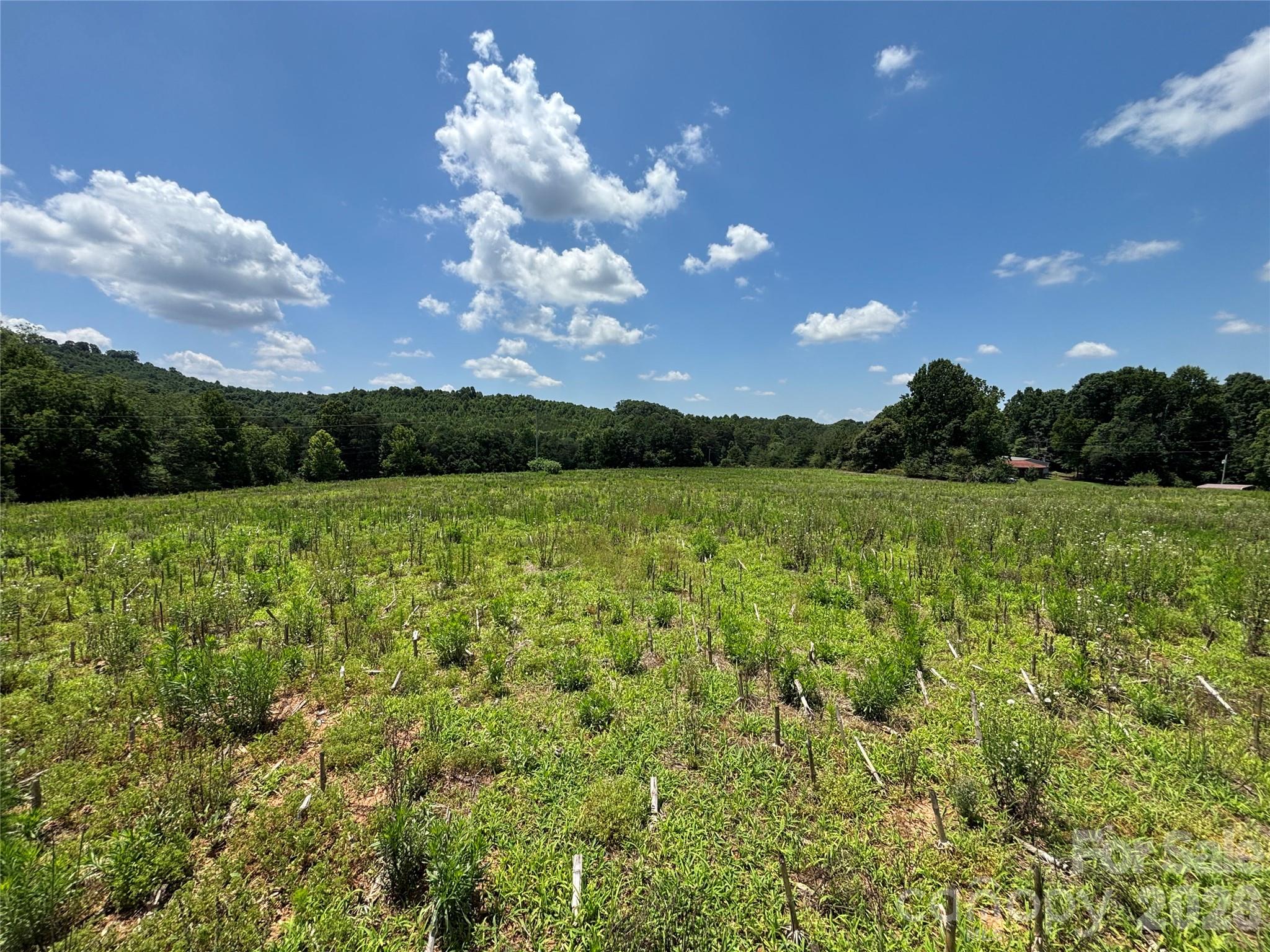 00 Brookhaven Road Property Photo 6