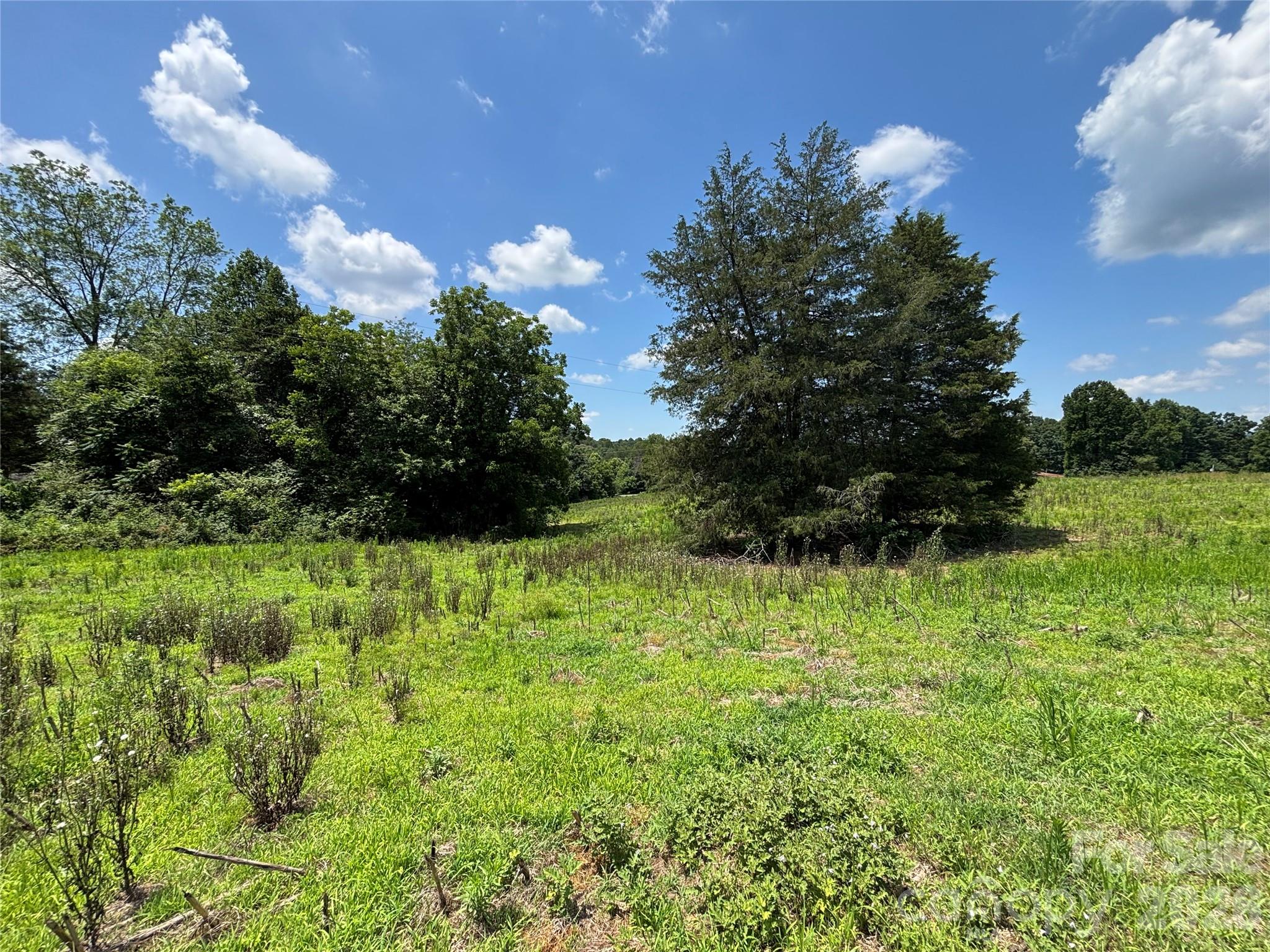 00 Brookhaven Road Property Photo 9