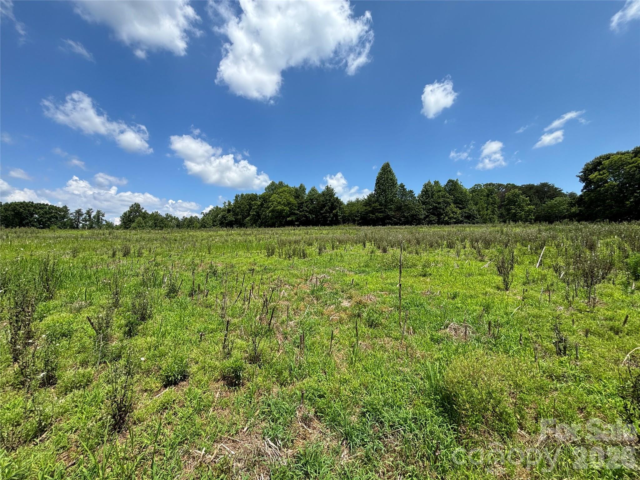 00 Brookhaven Road Property Photo 10
