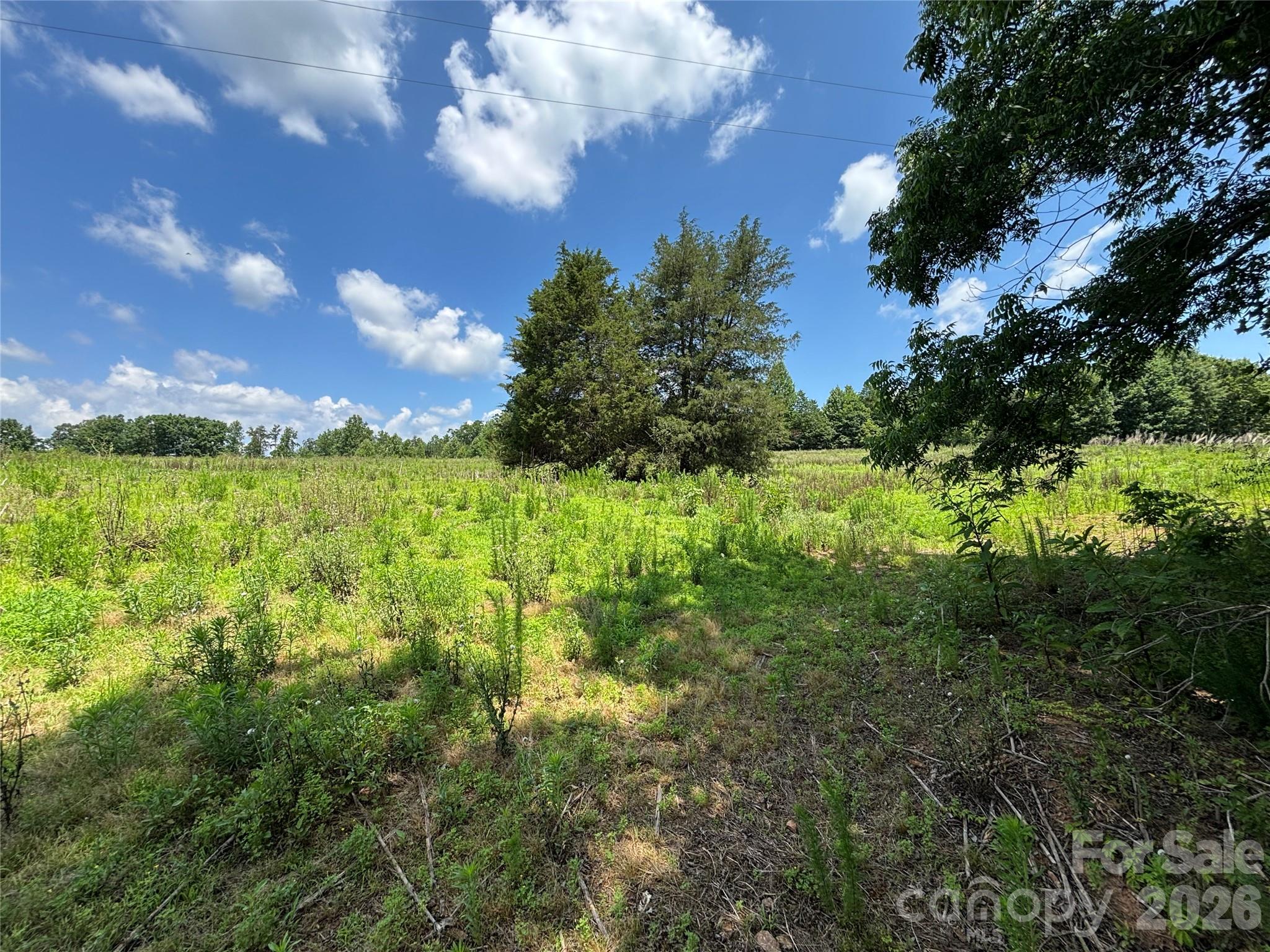 00 Brookhaven Road Property Photo 11