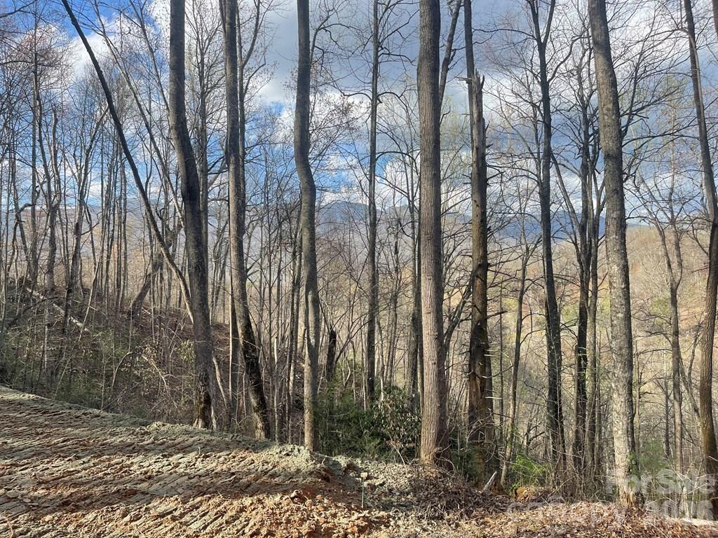 700 Copperhead Cove Property Photo 5