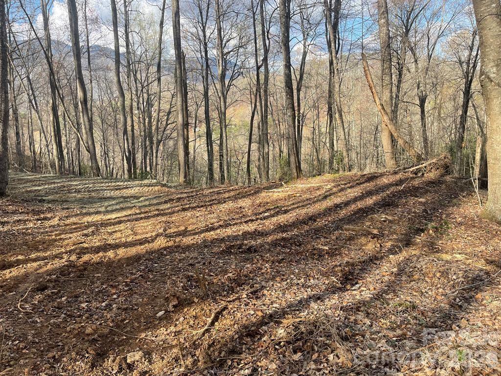 700 Copperhead Cove Property Photo 6