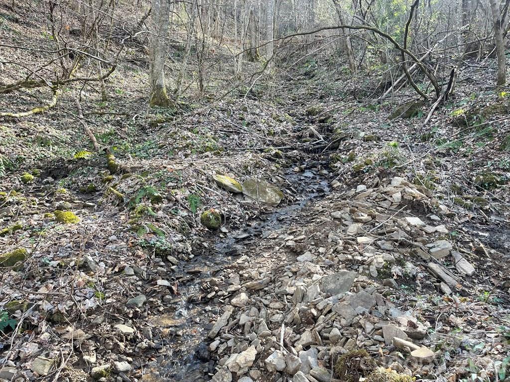 700 Copperhead Cove Property Photo 8