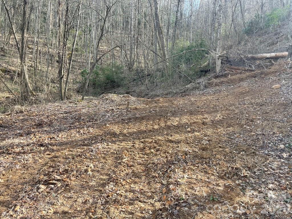 700 Copperhead Cove Property Photo 9