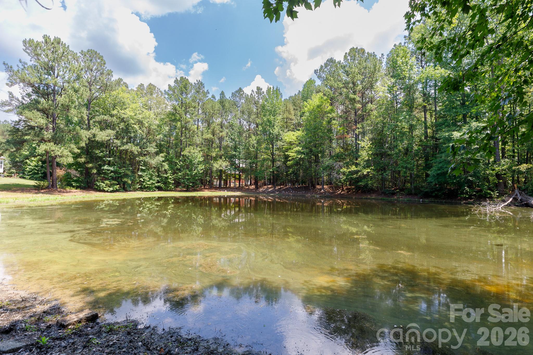 3009 Mamoth Oak Drive Property Photo 11