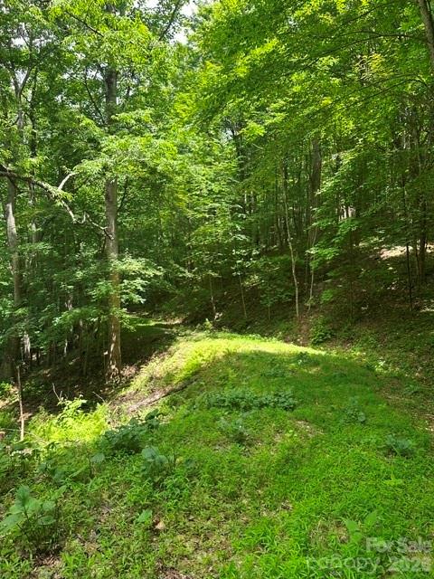 Tbd Mountain Home Road 2 Property Photo 1