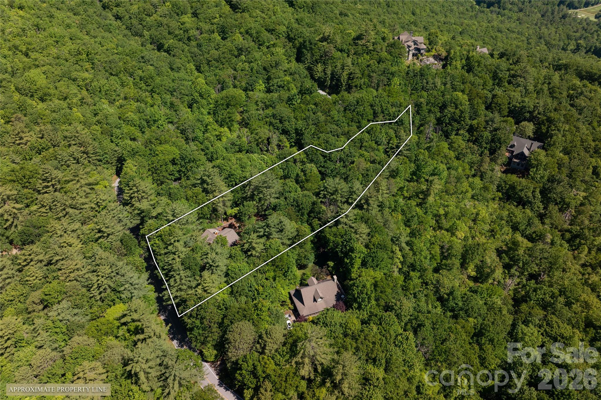 522 Toxaway Court Property Photo 45