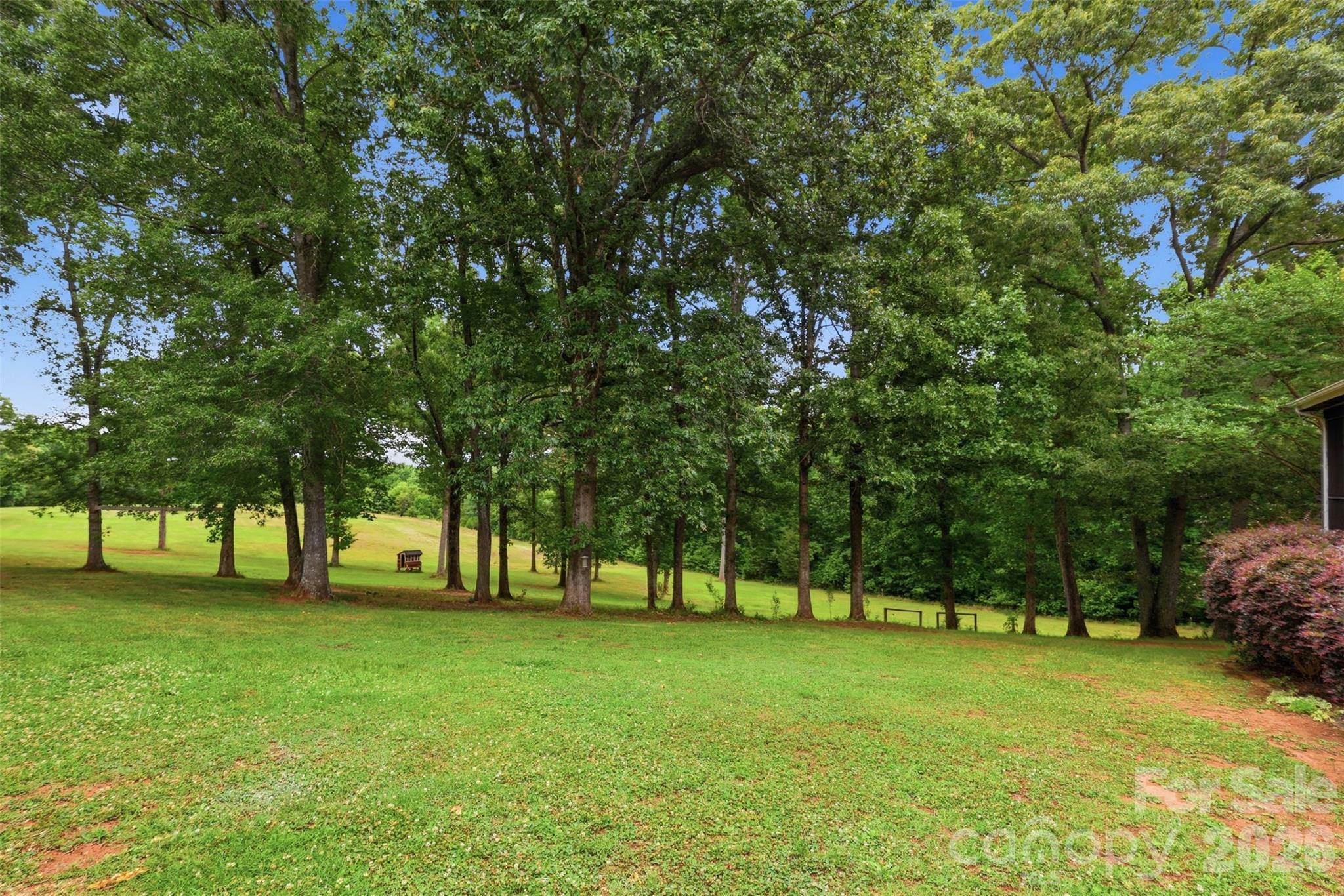 8301 Waxhaw Creek Road Property Photo 6