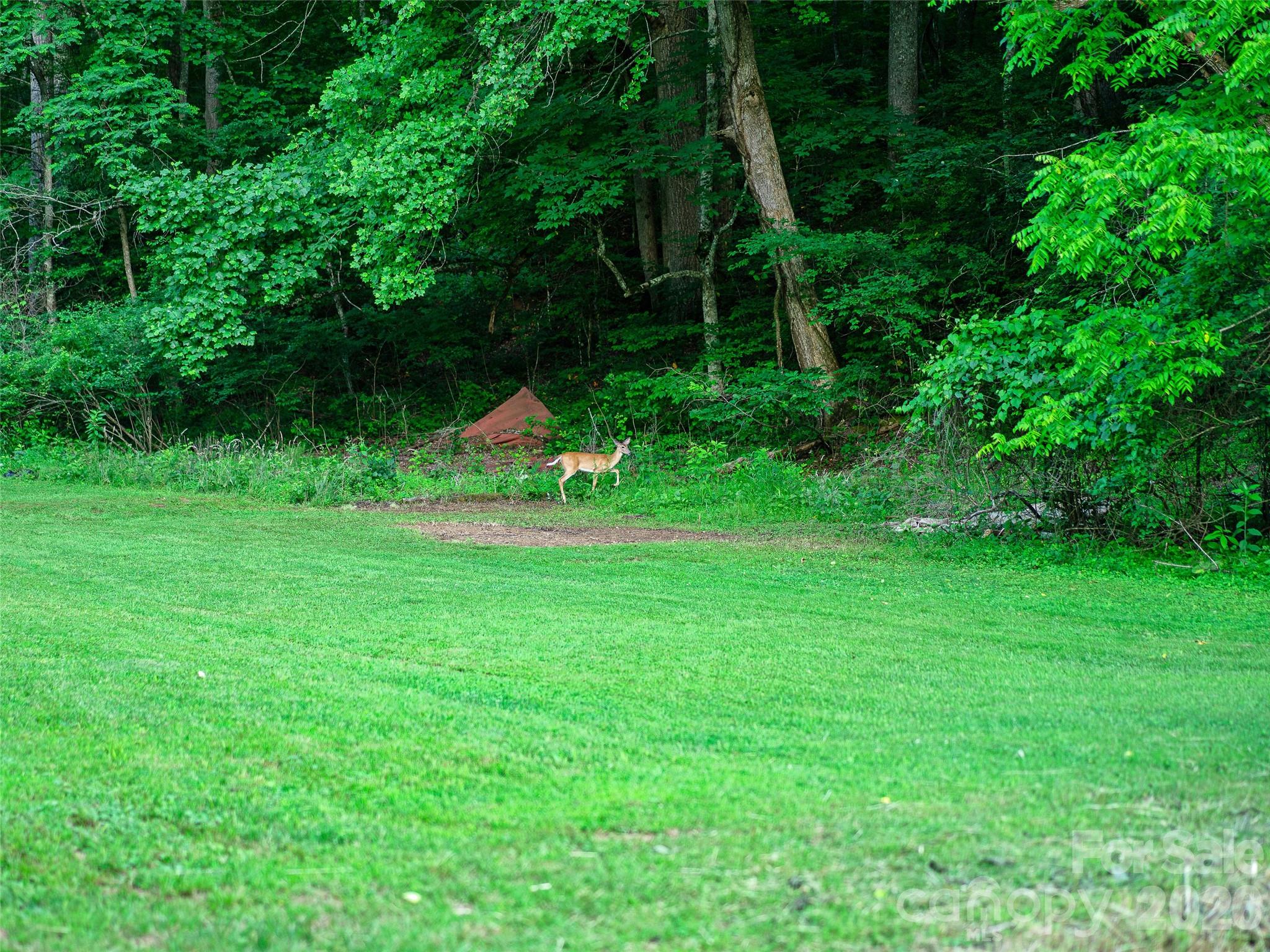 232 Langford Branch Road Property Photo 22